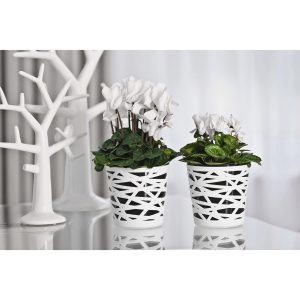 Ghiveci Bicolor 13cm Plastic pentru Plante Stylish - Design Elegant si Durabilitate pentru Acasa - imagine 5