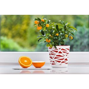Ghiveci Bicolor 13cm Plastic pentru Plante Stylish - Design Elegant si Durabilitate pentru Acasa - imagine 6
