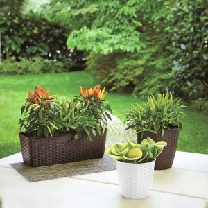 Jardiniera Tortora Vetro-Plus 30x13x11 cm Plastic Maro pentru Grădinărit Elegant - imagine 3