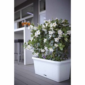 Jardiniera Tortora Vetro-Plus 30x13x11 cm Plastic Maro pentru Grădinărit Elegant - imagine 4