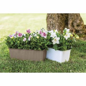 Jardiniera Tortora Vetro-Plus 30x13x11 cm Plastic Maro pentru Grădinărit Elegant - imagine 6