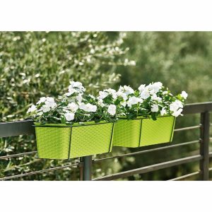 Jardiniera Tortora Vetro-Plus 30x13x11 cm Plastic Maro pentru Grădinărit Elegant - imagine 7