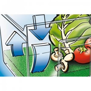 Folie pentru păstrarea prospețimii alimentelor Wenko 30m transparentă din plastic pentru fructe și legume - imagine 4