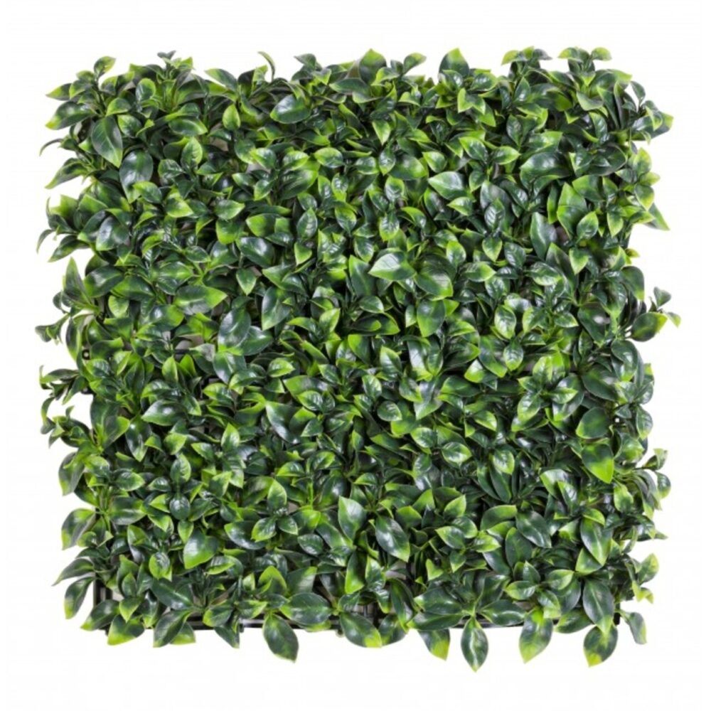 l-panou-verde-artificial-privet-green-bizzotto-50x50-cm