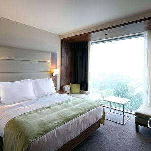 Perna Feeling Green Future 50x70 cm 50% puf de gasca 50% pana de gasca husa bumbac 100% confortabil somn sanatos - imagine 14