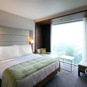 Perna Sleep Green Future 50x70 cm 40% puf gâscă 60% pană de gâscă bumbac 100% pentru somn odihnitor - imagine 5