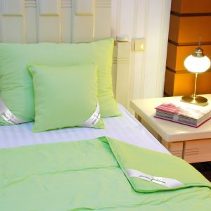 Pilota Nature 180x200 cm Verde Bambus 100% 200g/mp Hipoalergenica pentru Toate Anotimpurile - imagine 4