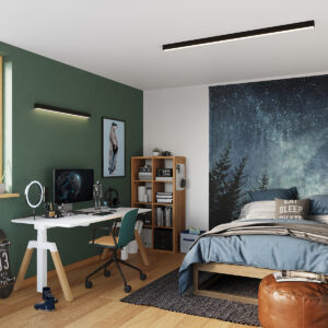 Plafonieră PINNE 67 negru - imagine 11