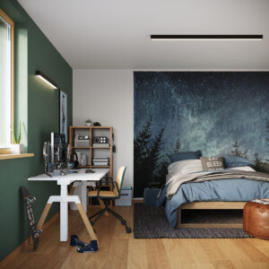 Plafonieră PINNE 150 negru - imagine 10